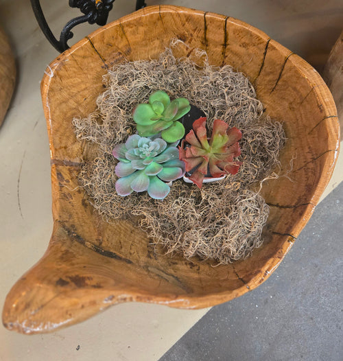 Large one-of-a-kind bowl with natural handle filled with succulents and moss. Candle scent of choice added.